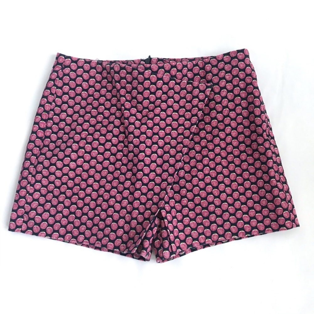 Zara Basic fruit skort size XS